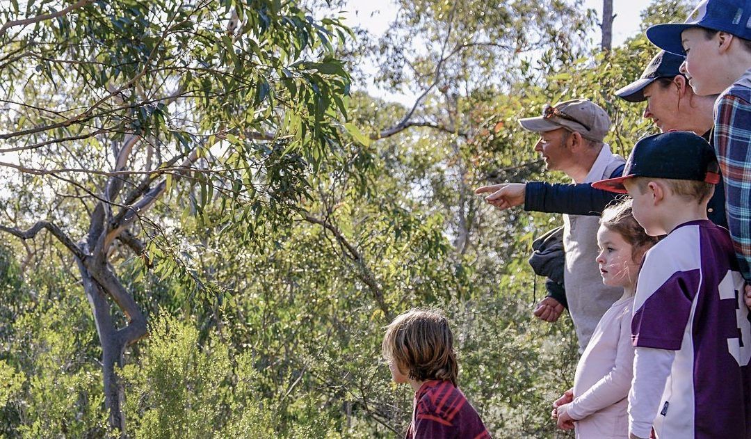 Discover the Bomaderry Creek Walk