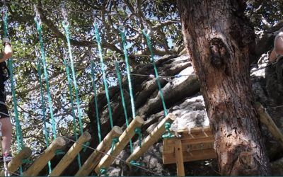 Push your limits at Nowra Trees Adventure