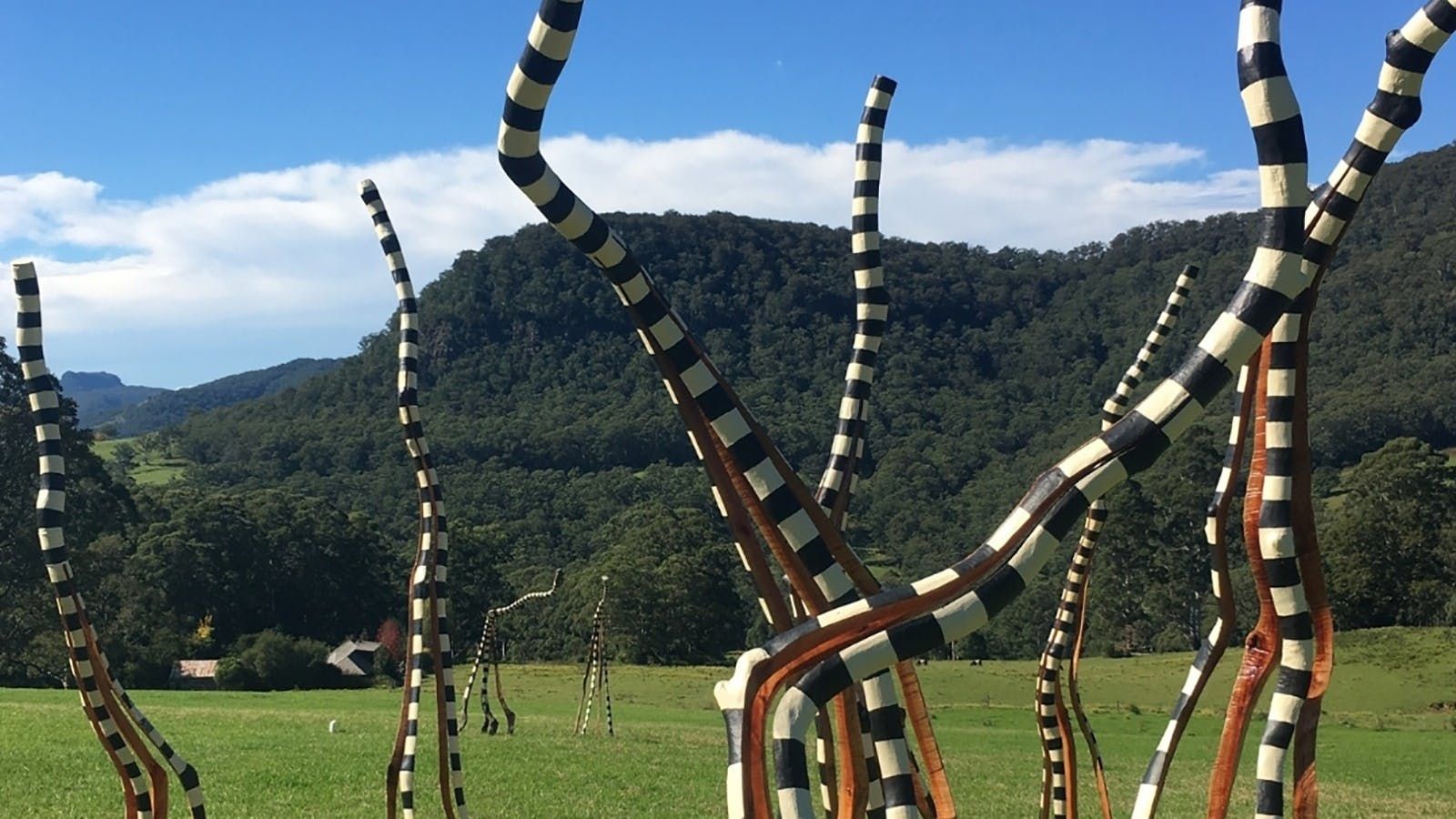 Kangaroo Valley Sculpture in the Valley