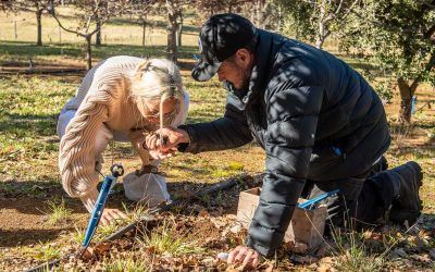 Experience Nature Truffle Hunt with Lunch – Winter 2022