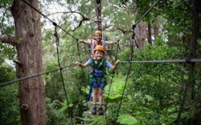 Illawarra Fly Treetop Adventures